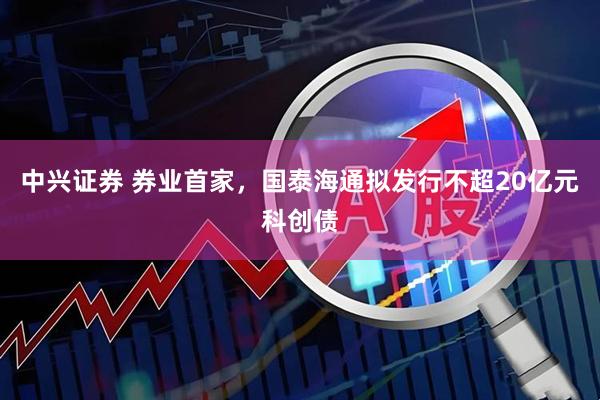 中兴证券 券业首家，国泰海通拟发行不超20亿元科创债