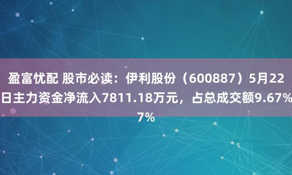 盈富忧配 股市必读：伊利股份（600887）5月22日主力资金净流入7811.18万元，占总成交额9.67%
