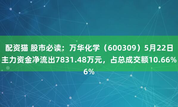 配资猫 股市必读：万华化学（600309）5月22日主力资金净流出7831.48万元，占总成交额10.66%