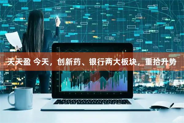 天天盈 今天，创新药、银行两大板块，重拾升势