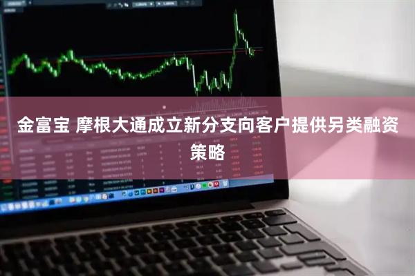 金富宝 摩根大通成立新分支向客户提供另类融资策略