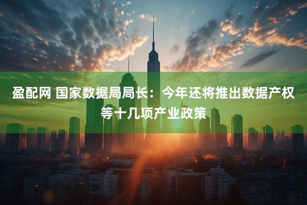 盈配网 国家数据局局长：今年还将推出数据产权等十几项产业政策