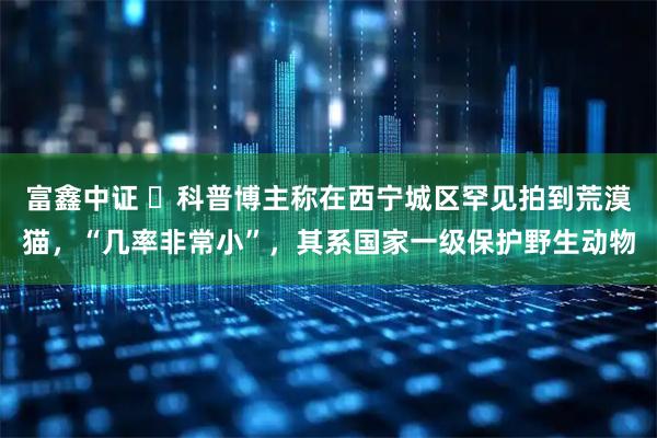 富鑫中证 ​科普博主称在西宁城区罕见拍到荒漠猫，“几率非常小”，其系国家一级保护野生动物