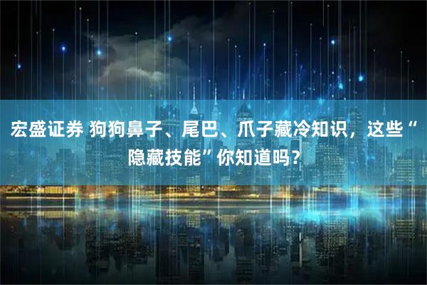 宏盛证券 狗狗鼻子、尾巴、爪子藏冷知识,这些“隐藏技能”你知道吗?