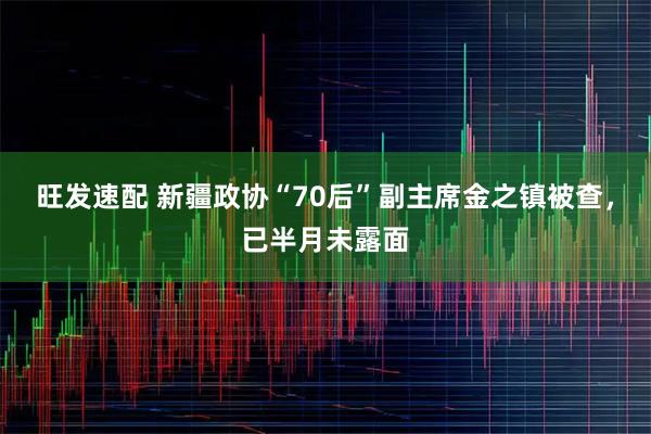旺发速配 新疆政协“70后”副主席金之镇被查,已半月未露面