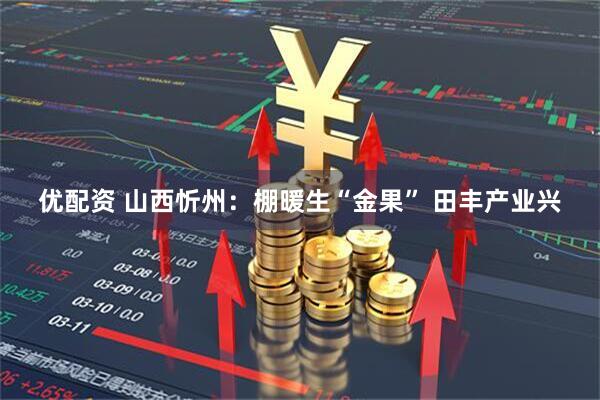 优配资 山西忻州：棚暖生“金果” 田丰产业兴